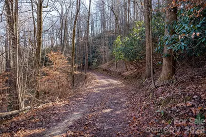 370 Moons Rest Lane, Brevard, NC 28712 - Photo 33