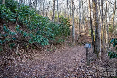 370 Moons Rest Lane, Brevard, NC 28712 - Photo 31