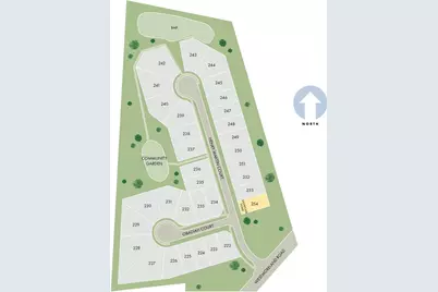 117 Obadiah Court, Mooresville, NC 28115 - Photo 11