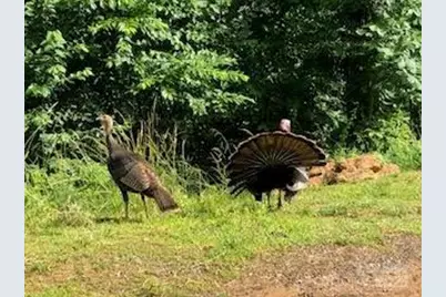 338 Espen Ridge, Asheville, NC 28804 - Photo 47