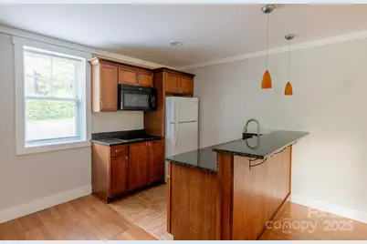 116 Unaka Avenue, Asheville, NC 28803 - Photo 39