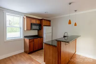 116 Unaka Ave, Asheville, NC 28803 - Photo 39