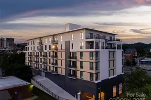 45 Asheland Ave, Asheville, NC 28801 - Photo 31