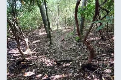 Lot 24 Red Wolf None, Blowing Rock, NC 28605 - Photo 5