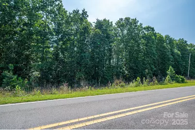 0 Boy Scout Road, Rutherfordton, NC 28139 - Photo 7