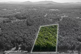 0 Boy Scout Rd, Rutherfordton, NC 28139 - Photo 3