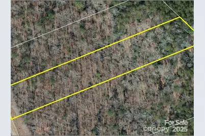 0 Boy Scout Road, Rutherfordton, NC 28139 - Photo 11