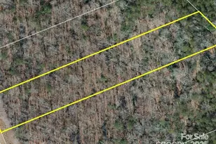 0 Boy Scout Rd, Rutherfordton, NC 28139 - Photo 11