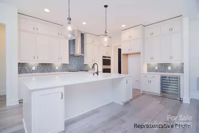 116 Davidson Springs Drive, Mooresville, NC 28115 - Photo 3