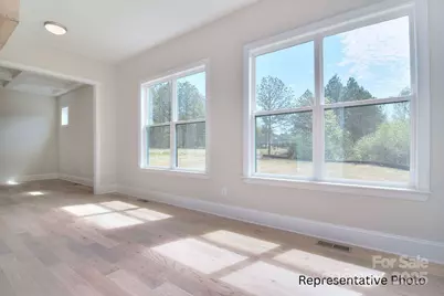 116 Davidson Springs Drive, Mooresville, NC 28115 - Photo 39