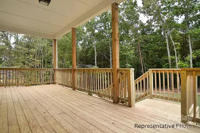 116 Davidson Springs Drive, Mooresville, NC 28115 - Photo 41