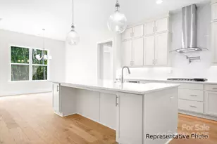 116 Davidson Springs Dr, Mooresville, NC 28115 - Photo 11