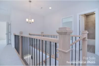 116 Davidson Springs Drive, Mooresville, NC 28115 - Photo 33