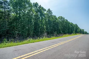 0 Boy Scout Rd, Rutherfordton, NC 28139 - Photo 13