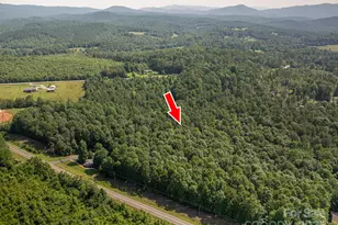 0 Boy Scout Rd, Rutherfordton, NC 28139 - Photo 3