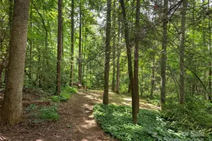 264 Charming Ln, Hendersonville, NC 28792 - Photo 21