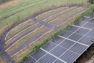 6 Sunrise Valley, Leicester, NC 28748 - Photo 37