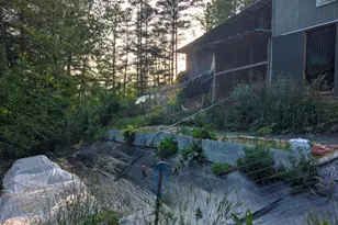 6 Sunrise Valley, Leicester, NC 28748 - Photo 43