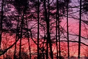 10841 Flat Iron Rd, Charlotte, NC 28226 - Photo 43