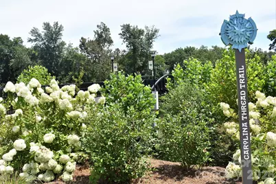 201 Vanguard Lane #13, Cramerton, NC 28032 - Photo 7