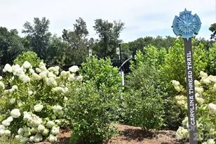 201 Vanguard Ln, Cramerton, NC 28032 - Photo 7