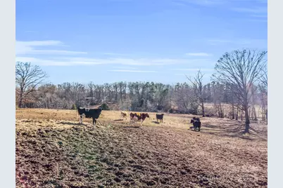 126 Waters Road, Bostic, NC 28018 - Photo 33