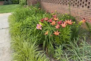 5486 E Hwy 27 Hwy, Iron Station, NC 28080 - Photo 33