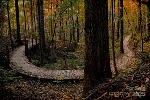 132 Fern Loop, Lake Lure, NC 28746 - Photo 31