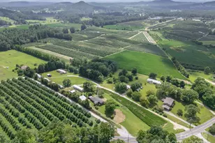 40 Country View Ln, Hendersonville, NC 28792 - Photo 41