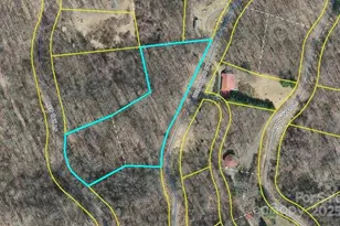 Tbd Wildwood Acres Dr, Burnsville, NC 28714 - Photo 11