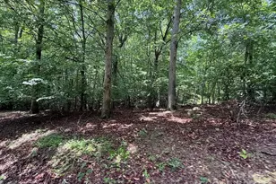 2401 Hundred Acres Ln, Lenoir, NC 28645 - Photo 41