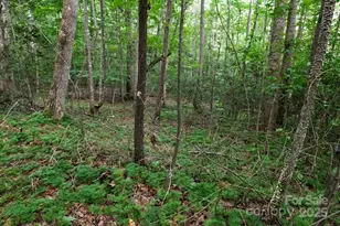 2401 Hundred Acres Ln, Lenoir, NC 28645 - Photo 35