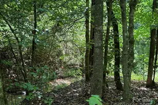 2401 Hundred Acres Ln, Lenoir, NC 28645 - Photo 39