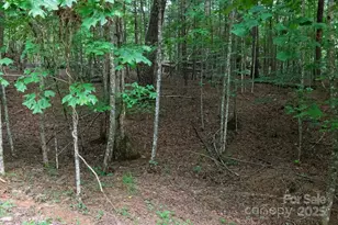 2401 Hundred Acres Ln, Lenoir, NC 28645 - Photo 31