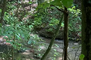 2401 Hundred Acres Ln, Lenoir, NC 28645 - Photo 43