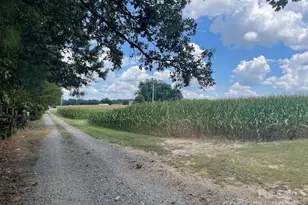 3513 Gilboa Rd, Marshville, NC 28103 - Photo 35