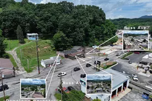 719 Dellwood Rd, Waynesville, NC 28786 - Photo 1