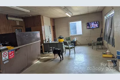 719 Dellwood Road, Waynesville, NC 28786 - Photo 17