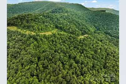 9999 Blue Ridge View Drive, Canton, NC 28716 - Photo 9