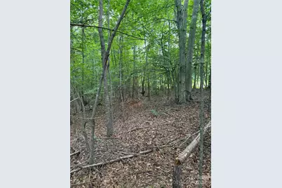 3994 Seitz Road, Morganton, NC 28655 - Photo 5
