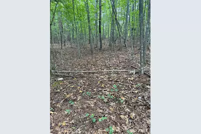 3994 Seitz Road, Morganton, NC 28655 - Photo 3