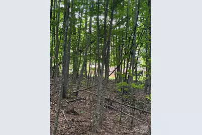 3994 Seitz Road, Morganton, NC 28655 - Photo 7