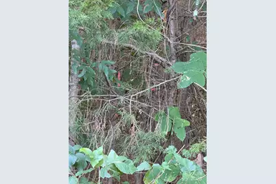 976 Peden Bridge Road, Chester, SC 29706 - Photo 35