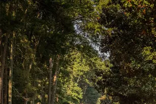 203 Riverview Terrace, Lake Wylie, SC 29710 - Photo 33