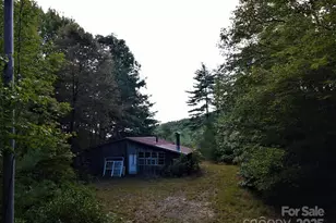 745 Broom Rd, Tuckasegee, NC 28783 - Photo 37