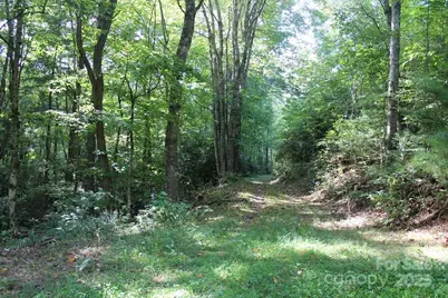 745 Broom Road, Tuckasegee, NC 28783 - Photo 35