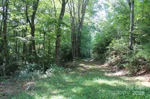 745 Broom Rd, Tuckasegee, NC 28783 - Photo 35