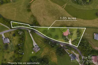 271 Breton Ridge Road, Leicester, NC 28748 - Photo 39