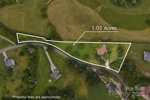 271 Breton Rdg Rd, Leicester, NC 28748 - Photo 39