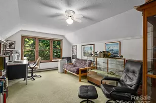 3541 Willow Creek Rd, Hendersonville, NC 28739 - Photo 19